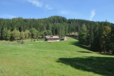 Almhütte Kuhgraben