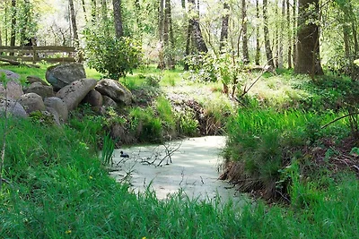 Vakantieappartement Gezinsvakantie Bad Bodenteich