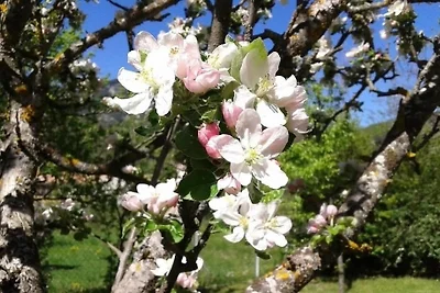 Appartamento Vacanza con famiglia Castellane