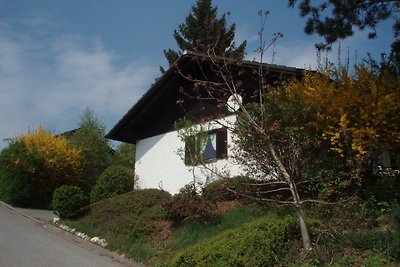 Ferienhaus Waldschrat -