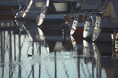 Appartamento Vacanza con famiglia Neustadt in Holstein