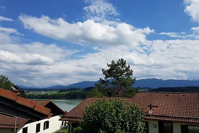 Ferienhaus Nr. 21, Kategorie