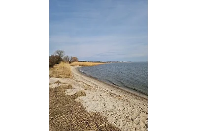 Ferienhaus Köhler am Walde, Urlaub