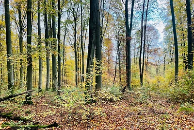 Vakantieappartement Gezinsvakantie Bad Karlshafen