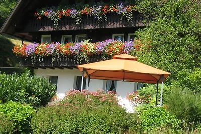 Appartamento Vacanza con famiglia Gutach