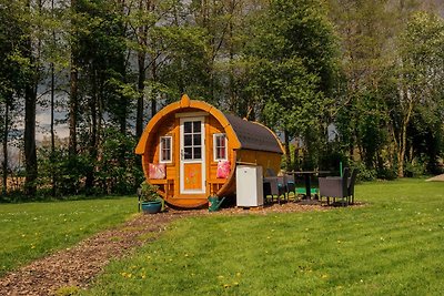 Accommodatie Vakantie op de boerderij Cloppenburg