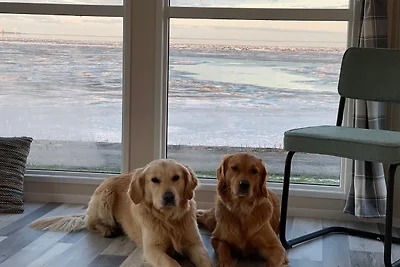 Vakantiehuis Ontspannende vakantie Westerland