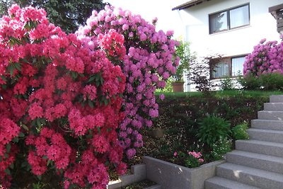 Holiday flat family holiday Freudenstadt