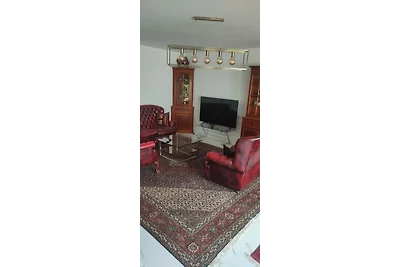 House + Garden close to Frankfurt