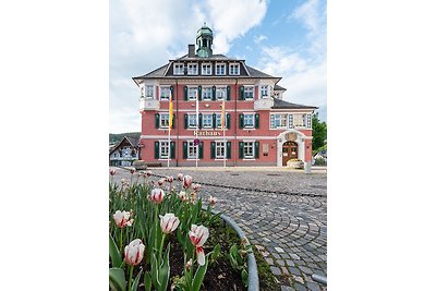 Ferienwohnung Sonnenglück mit