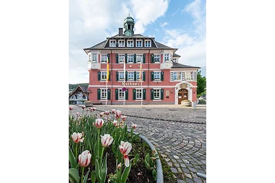 Ferienwohnung Sonnenglück mit