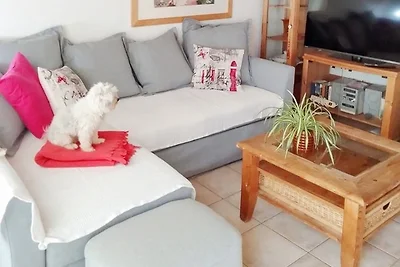 Casa Rosa, Arico Viejo/ La Sabinita