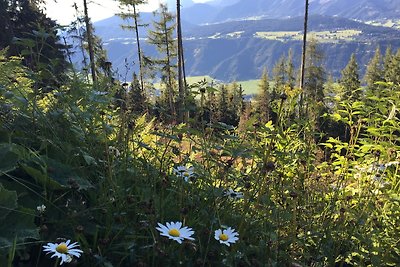 Ferienwohnung Schladming Planai