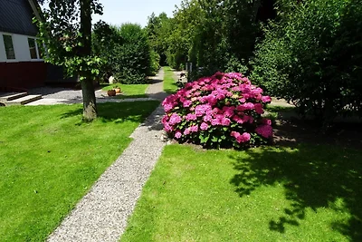 SE RP8 Ferienhaus am Wattenmeer