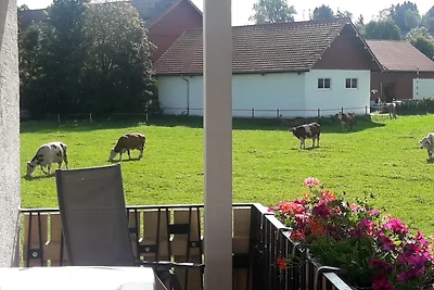 Appartement Vacances avec la famille Peiting