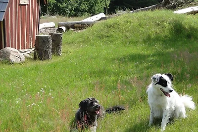 Bispinger Heidezauber - Haus