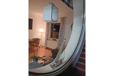 Apart Zwergmöwe im Möwennest