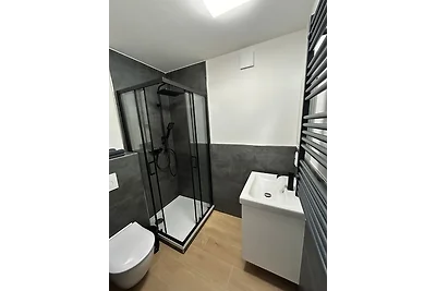 RheinSchatz Apartments 6