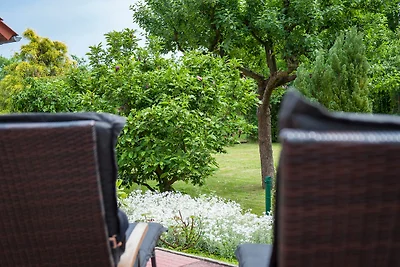 Elbwiesenhaus mit schönen Garten