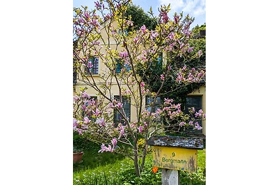 Fewo Kerzenzimmer - Märchen aus