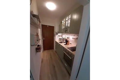 Alpenschwänchen 4 -