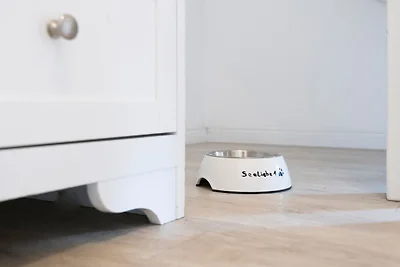 Seepark Süssau Ferienhaus Seeliebe