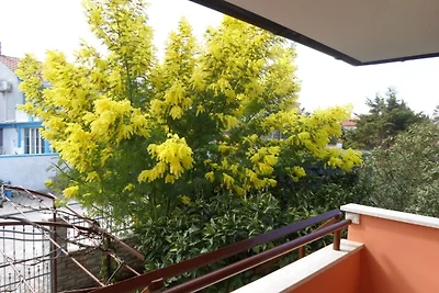 Traumurlaub in der Villa MaVeRo