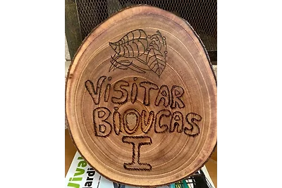 Visitar Bioucas I (AL.Q) - Nature