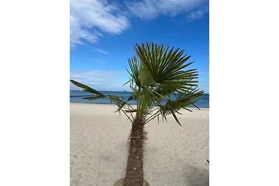 Dünenschloss - Haus 2 Wohnung 13 /