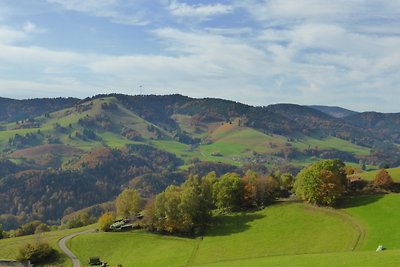 Vakantieappartement Gezinsvakantie Lörrach