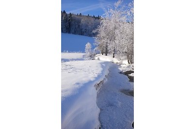 Vakantieappartement Gezinsvakantie Altenberg