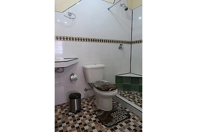 Hostal Iliana y Eduardo Appartement