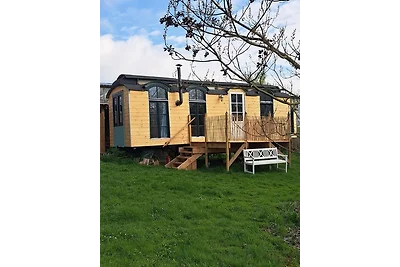 Zirkuswagen - Roulotte