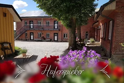 Haferspieker