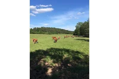 Schwabenhof Ferienwohnung I