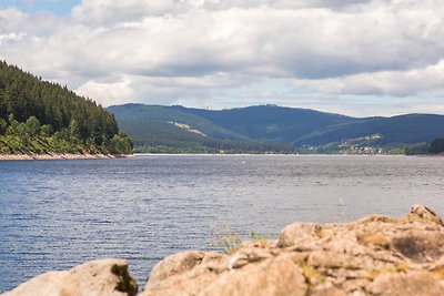 Vakantieappartement Gezinsvakantie Falkau