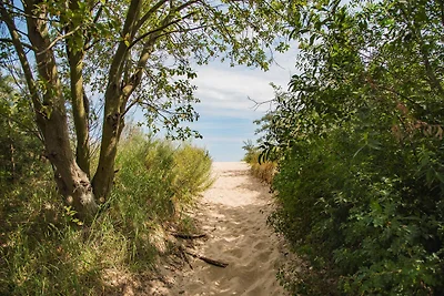 Vakantiehuis Ontspannende vakantie Ückeritz