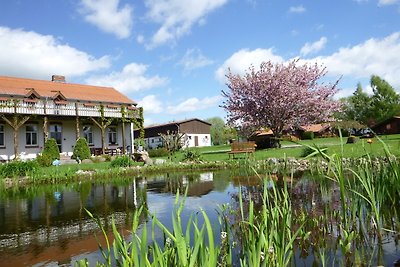 Landhof Kützin Ferienhaus 4 Meise