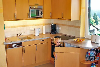 Feldbergblick App. 21