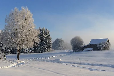 Alpenlodge Lechbruck Allgäu - Fewo