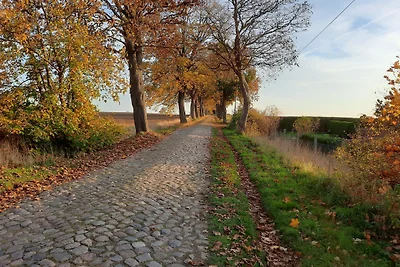 Vakantiehuis Ontspannende vakantie Gützkow