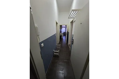 Albatros (1-5 Personen)