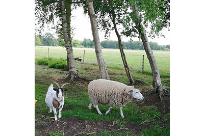 Schlafkoje Kleine Wolke