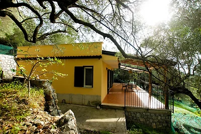 Villa Nicoletta