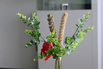 Appartamento Vacanza con famiglia Hohegeiß