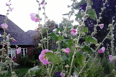 Casa vacanze Vacanza di relax Dagebüll