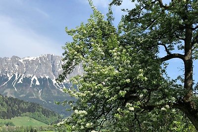 Vakantieappartement Gezinsvakantie Gröbming