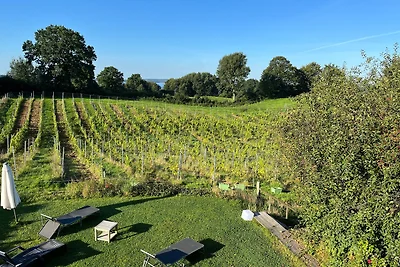 Hoheluft am Wittensee Apt. 1