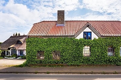 Ferienhaus Alte Schmiede