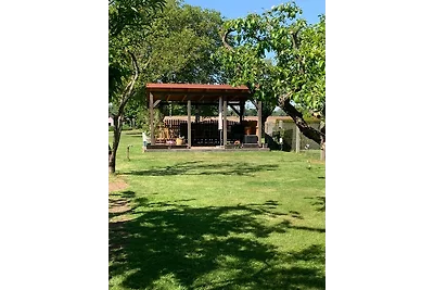 Janas Ferienwohnung in Heideblick